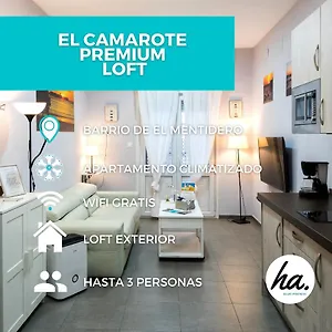https://el-camarote-loft.hotelsincadiz.net